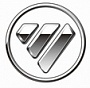 Foton